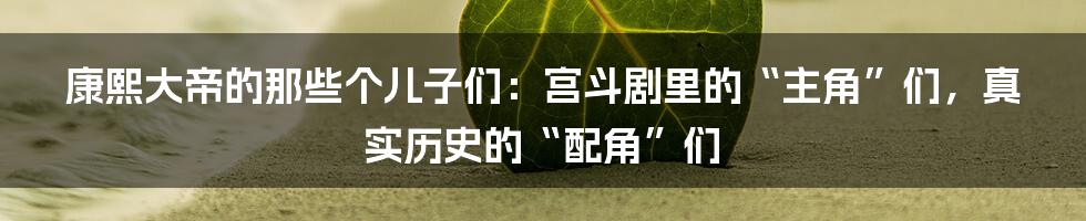 康熙大帝的那些个儿子们：宫斗剧里的“主角”们，真实历史的“配角”们