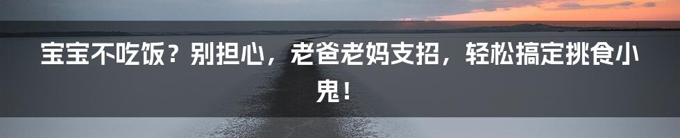 宝宝不吃饭？别担心，老爸老妈支招，轻松搞定挑食小鬼！