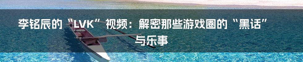 李铭辰的“LVK”视频:解密那些游戏圈的“黑话”与乐事
