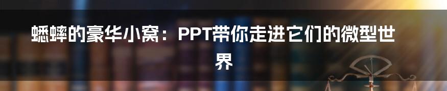 蟋蟀的豪华小窝：PPT带你走进它们的微型世界