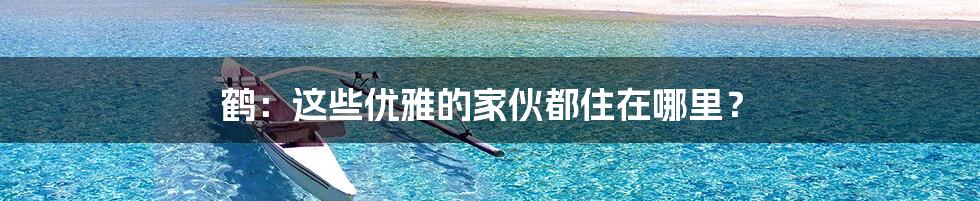 鹤：这些优雅的家伙都住在哪里？