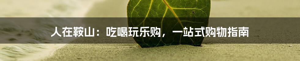 人在鞍山:吃喝玩乐购,一站式购物指南