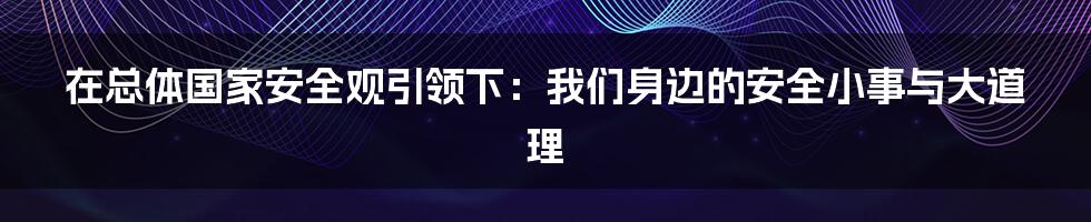 在总体国家安全观引领下:我们身边的安全小事与大道理