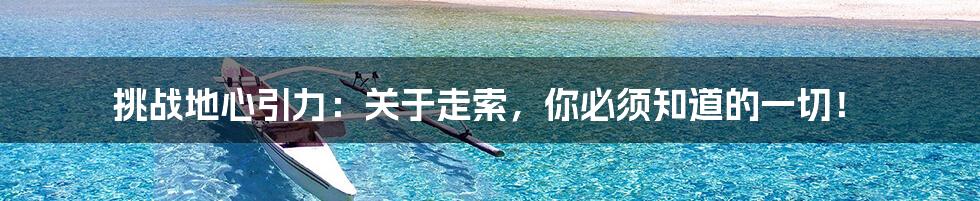 挑战地心引力：关于走索，你必须知道的一切！