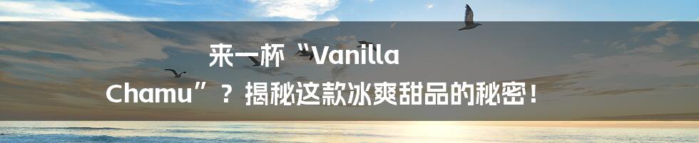 来一杯“Vanilla Chamu”?揭秘这款冰爽甜品的秘密!