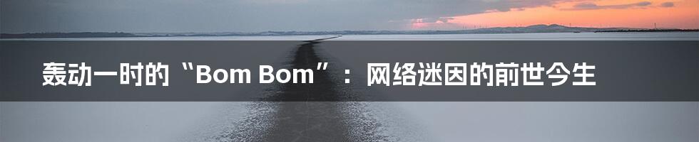 轰动一时的“Bom Bom”:网络迷因的前世今生