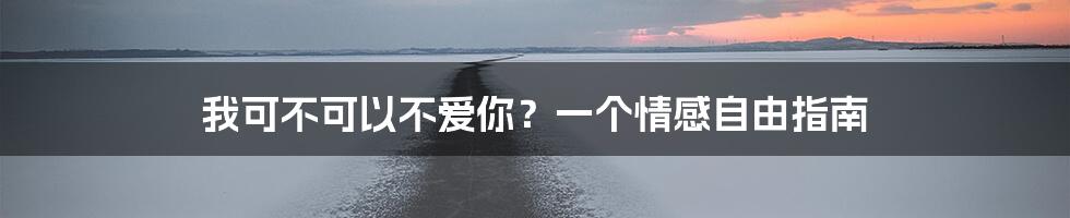 我可不可以不爱你?一个情感自由指南