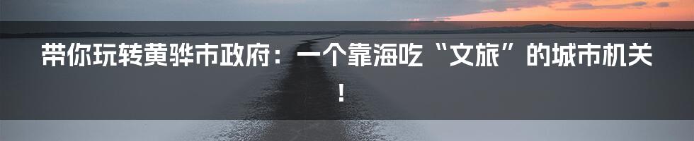带你玩转黄骅市政府:一个靠海吃“文旅”的城市机关!
