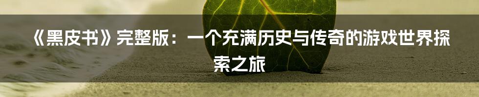 《黑皮书》完整版:一个充满历史与传奇的游戏世界探索之旅