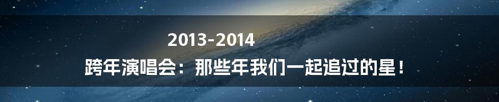 2013-2014 跨年演唱会：那些年我们一起追过的星！