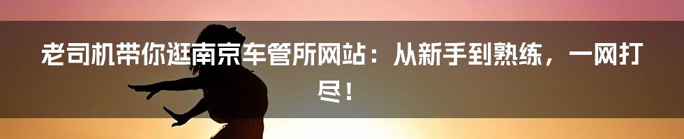 老司机带你逛南京车管所网站：从新手到熟练，一网打尽！