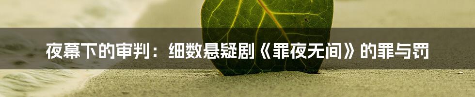 夜幕下的审判：细数悬疑剧《罪夜无间》的罪与罚