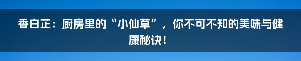 香白芷:厨房里的“小仙草”,你不可不知的美味与健康秘诀!