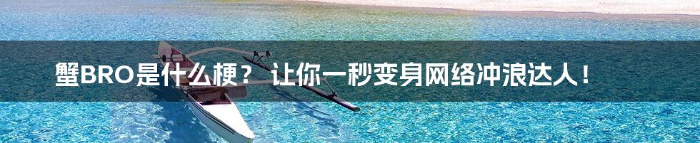 蟹BRO是什么梗? 让你一秒变身网络冲浪达人!