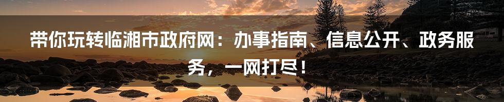 带你玩转临湘市政府网:办事指南、信息公开、政务服务,一网打尽!