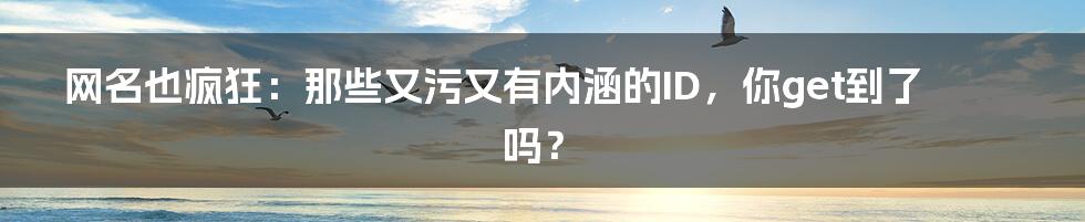 网名也疯狂:那些又污又有内涵的ID,你get到了吗?