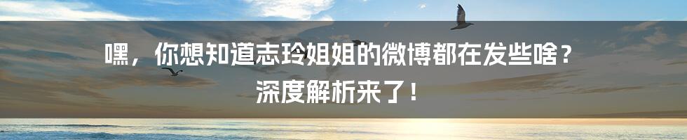 嘿,你想知道志玲姐姐的微博都在发些啥? 深度解析来了!