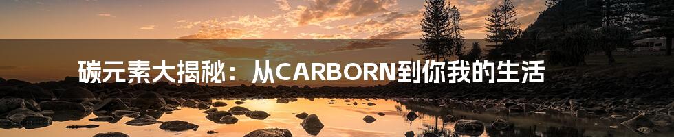碳元素大揭秘:从CARBORN到你我的生活