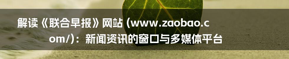 解读《联合早报》网站 (www.zaobao.com/):新闻资讯的窗口与多媒体平台