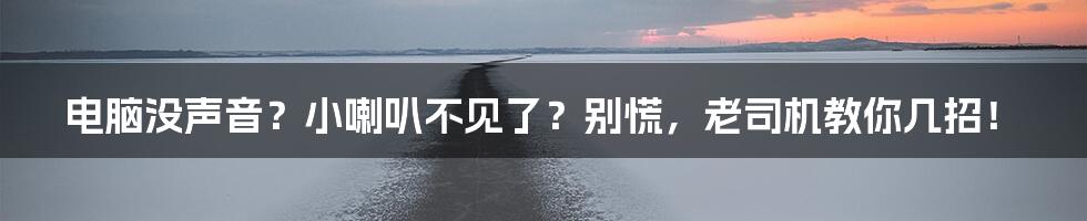 电脑没声音？小喇叭不见了？别慌，老司机教你几招！
