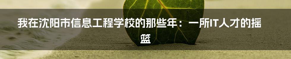 我在沈阳市信息工程学校的那些年:一所IT人才的摇篮