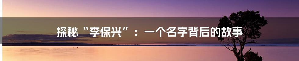 探秘“李保兴”:一个名字背后的故事