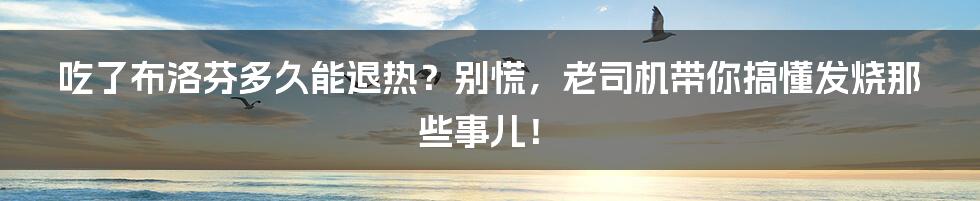 吃了布洛芬多久能退热？别慌，老司机带你搞懂发烧那些事儿！