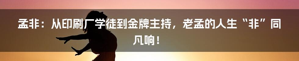 孟非:从印刷厂学徒到金牌主持,老孟的人生“非”同凡响!