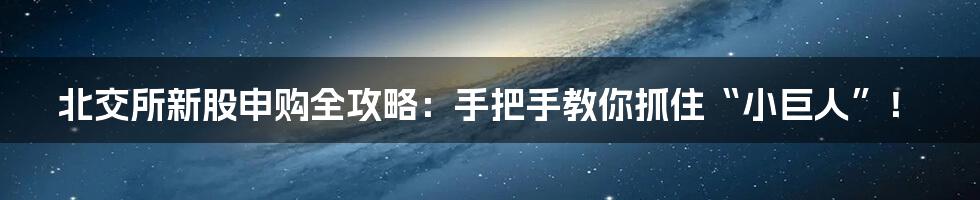 北交所新股申购全攻略：手把手教你抓住“小巨人”！