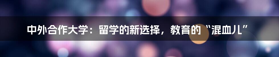 中外合作大学:留学的新选择,教育的“混血儿”