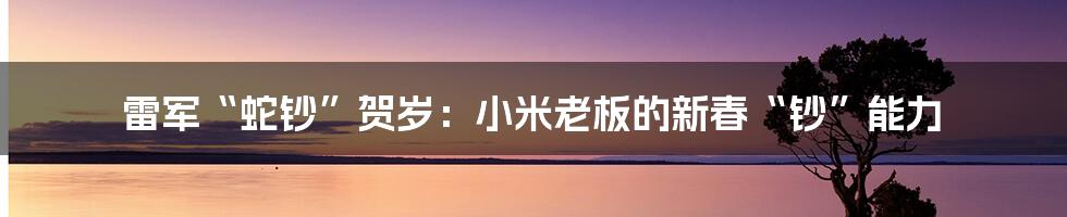 雷军“蛇钞”贺岁:小米老板的新春“钞”能力