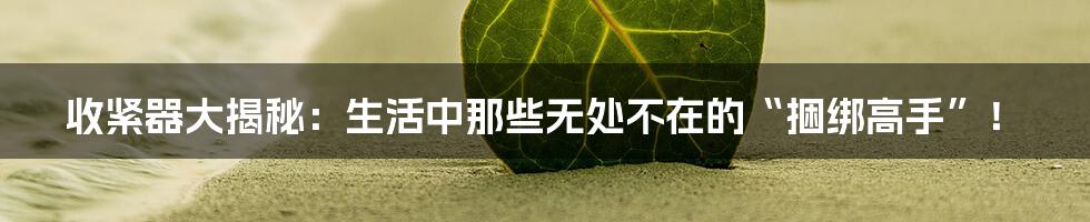 收紧器大揭秘：生活中那些无处不在的“捆绑高手”！
