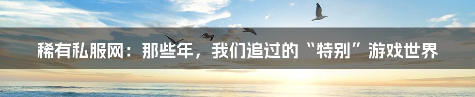 稀有私服网:那些年,我们追过的“特别”游戏世界