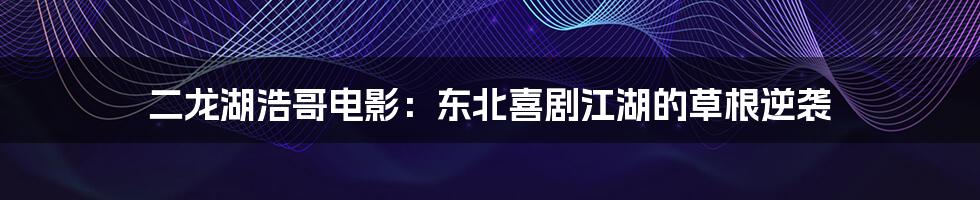 二龙湖浩哥电影:东北喜剧江湖的草根逆袭