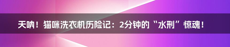 天呐！猫咪洗衣机历险记：2分钟的“水刑”惊魂！