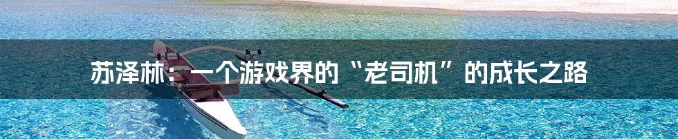 苏泽林:一个游戏界的“老司机”的成长之路