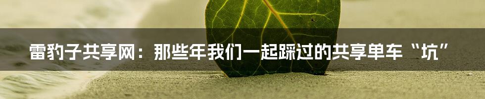 雷豹子共享网:那些年我们一起踩过的共享单车“坑”