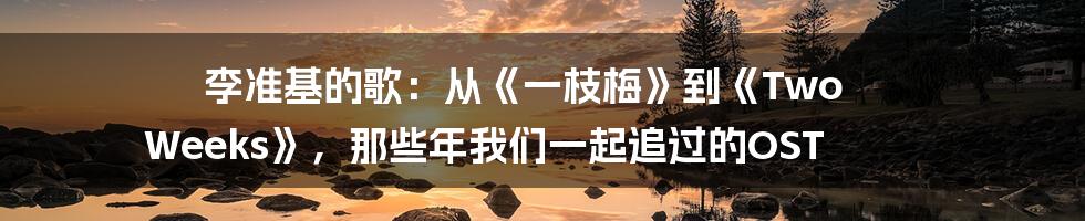 李准基的歌:从《一枝梅》到《Two Weeks》,那些年我们一起追过的OST