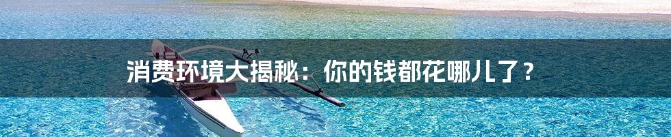 消费环境大揭秘:你的钱都花哪儿了?