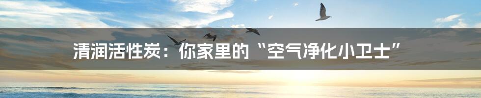 清润活性炭：你家里的“空气净化小卫士”