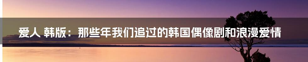 爱人 韩版：那些年我们追过的韩国偶像剧和浪漫爱情
