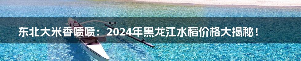 东北大米香喷喷:2024年黑龙江水稻价格大揭秘!
