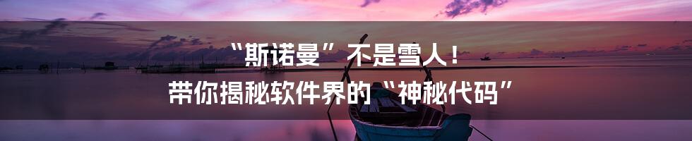 “斯诺曼”不是雪人! 带你揭秘软件界的“神秘代码”