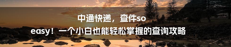 中通快递,查件so easy!一个小白也能轻松掌握的查询攻略