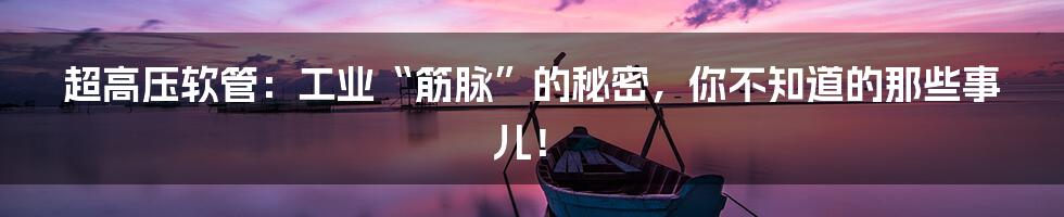 超高压软管:工业“筋脉”的秘密,你不知道的那些事儿!