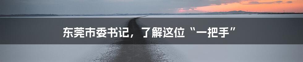 东莞市委书记，了解这位“一把手”