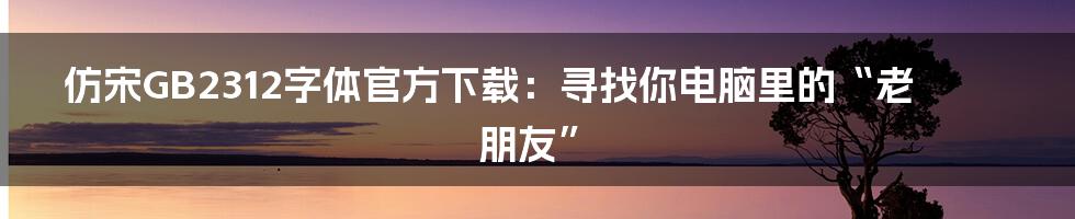 仿宋GB2312字体官方下载:寻找你电脑里的“老朋友”