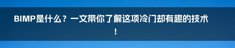 BIMP是什么?一文带你了解这项冷门却有趣的技术!
