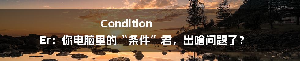 Condition Er：你电脑里的“条件”君，出啥问题了？