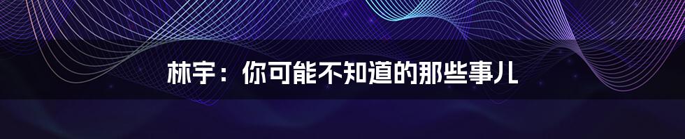 林宇:你可能不知道的那些事儿